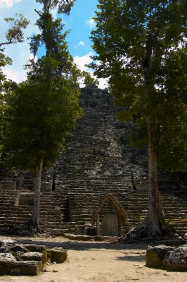 DSC_7679.JPG