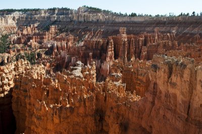 _DSC0526.jpg