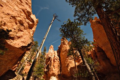 _DSC0696.jpg