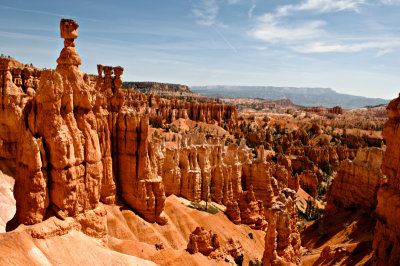_DSC0708.jpg