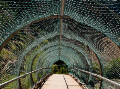 bike bridge.jpg