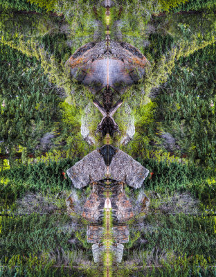 lake rorshach.jpg