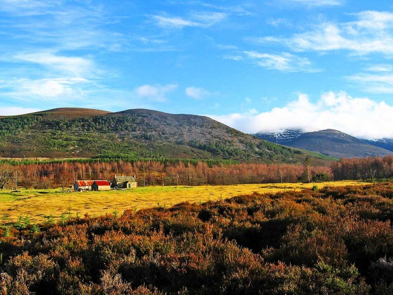 Glen Feshie