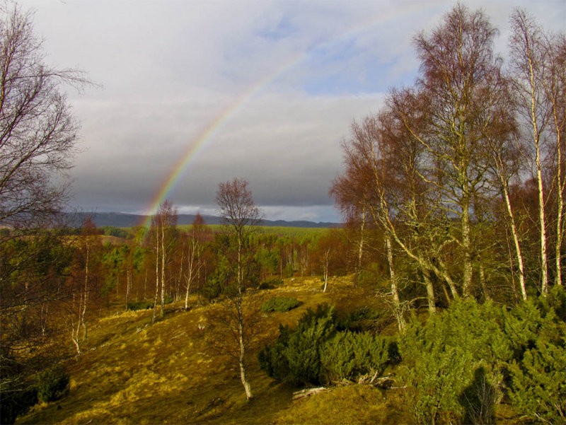 Rainbow