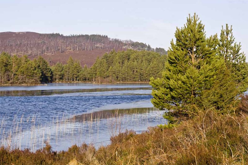 Loch an Eilean