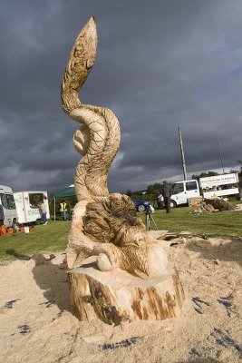 Carve Carrbridge 2009