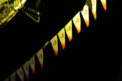 _IMG_5824.jpg