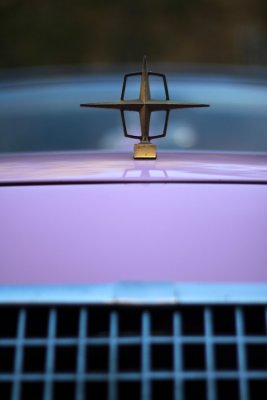 _IMG_0529.jpg