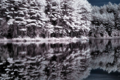 Northwood Meadows Infrared