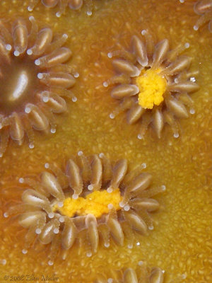 dive1775-050d196a.jpg