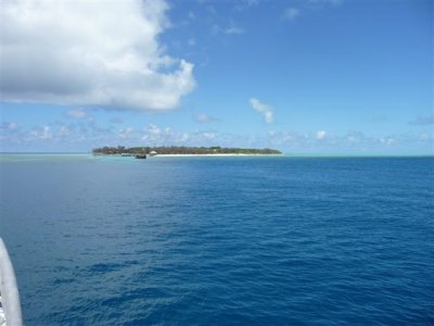 Land ho - Heron Island.JPG