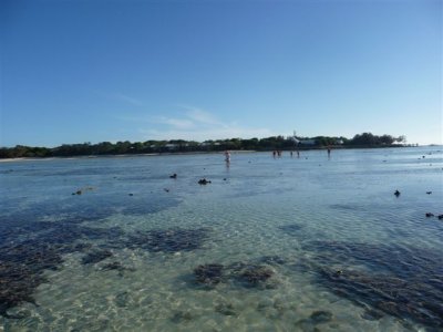 Reef Walk at Low Tide.JPG