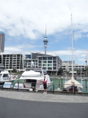 Auckland - Needle