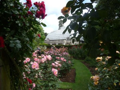Christchurch - Botanic Gardens house.jpg