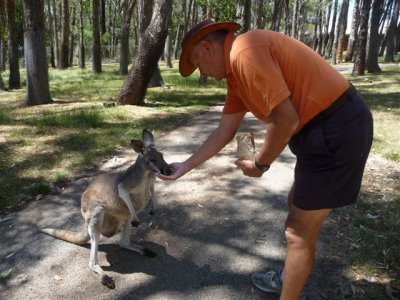 Adelaide - Mount Lofty and Cleland Wildlife- Phil 2.jpg