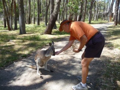 Adelaide - Mount Lofty and Cleland Wildlife- Phil 3.jpg