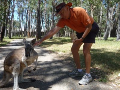 Adelaide - Mount Lofty and Cleland Wildlife- Phil 6.jpg