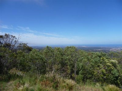 Adelaide - Mount Lofty and Cleland Wildlife2.jpg