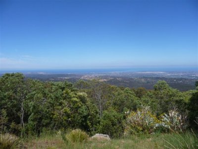 Adelaide - Mount Lofty and Cleland Wildlife3.jpg