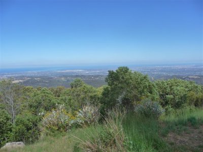 Adelaide - Mount Lofty and Cleland Wildlife4.jpg