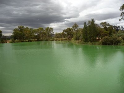 Adelaide Wine Tour - 14.jpg