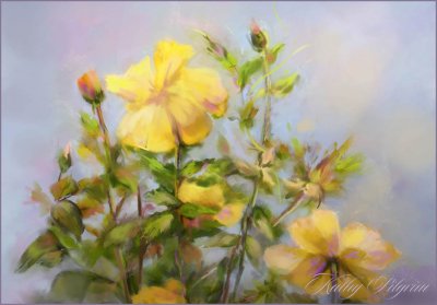 Roses-from-Edisto-Gardens.jpg