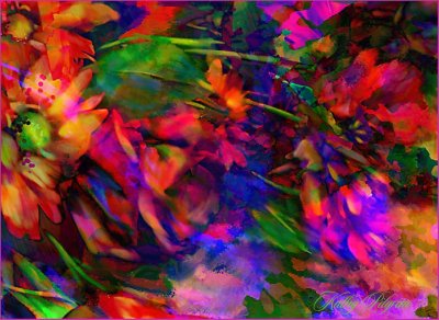 Skips Liquid Ink collage.jpg