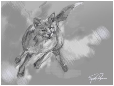 Week1-Wildlife-Leap.JPG