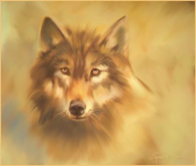 Wk4-Wolf-Last Assignment.JPG