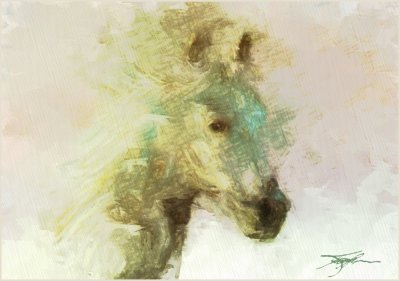 Abstract Horse Trial Spat2.jpg