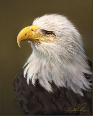 Eagle - Scott Deardorffs Class.JPG