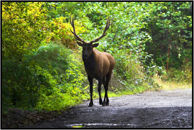 Northern California