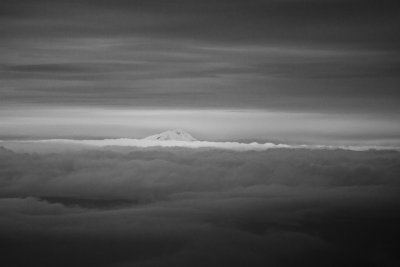 IMG_9834.jpg