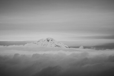 IMG_9861.jpg