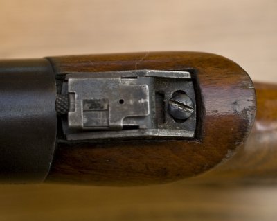 IMGP7119.jpg