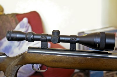 IMGP7197.JPG