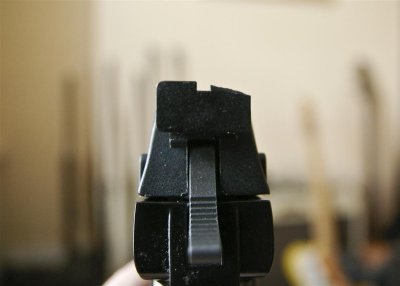 Nemesis rear sight.JPG