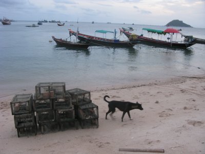Fishing boats with dog