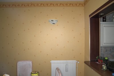 17 mm.jpg