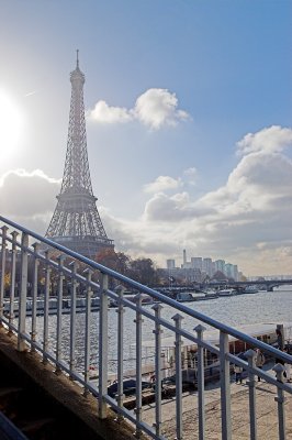 Rat des villes