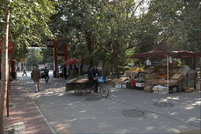 g1/10/605710/3/105052454.gZS1BVZe.jpg
