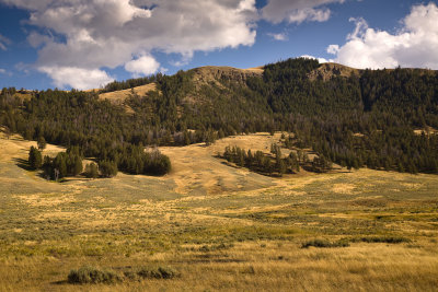 Lamar Valley (Yellowstone NP, USA)