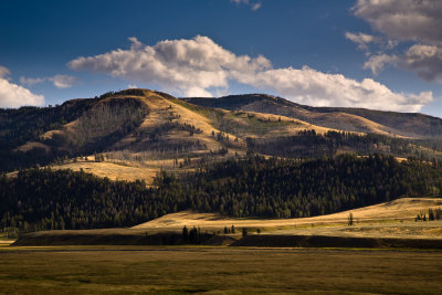 Lamar Valley (Yellowstone NP, USA)
