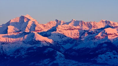 IMG_2062_40D.jpg