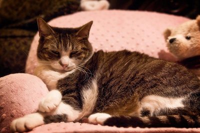 I don't care if it's pink, this chair is just my size!