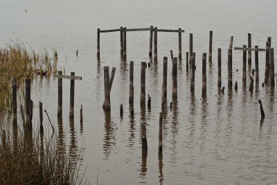 Pier Posts