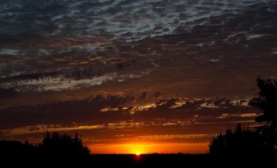 Feathery Sunset