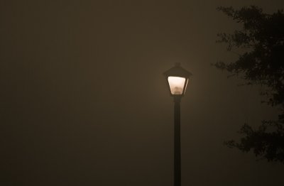 Street Lamp In The Fog