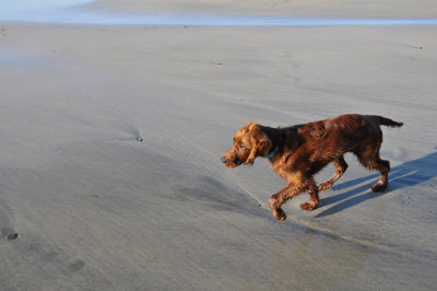 On the Beach