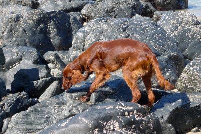 On the Rocks